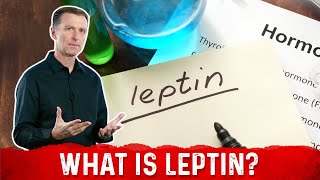 What is Leptin Explained By DrBerg [upl. by Alma]