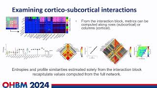 OHBM 2024  Symposium  Evgeny Chumin  Investigating corticosubcortical interactions in functio… [upl. by Homer775]