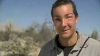 Bear Grylls Allergic to Bees [upl. by Leirbag]