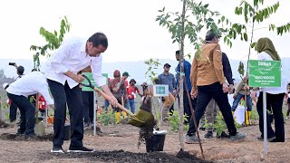 Presiden Jokowi Tanam Pohon Bersama Masyarakat IKN 20 Desember 2023 [upl. by Netsoj]