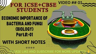 importance of bacteria and fungi l pathogen identification [upl. by Misab468]