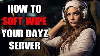 How To Do A Soft Wipe On Your DayZ Server That Deletes All Except Player Inventory For 123 Update [upl. by Nonad]