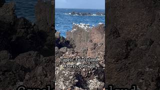 Capelo Faial Island Azores Portugal [upl. by Towland]