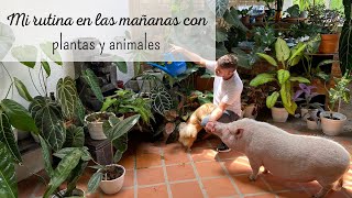 Mi rutina entre plantas y animales  así son mis mañanas [upl. by Erastus]