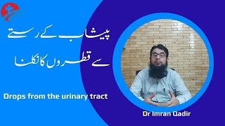 Drops from the urinary tractپیشاب کے رستے سے قطروں کا نکلناDr Imran Qadir [upl. by Daye509]