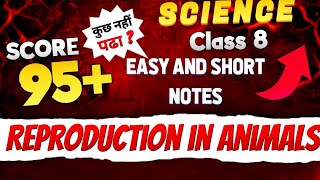 Reproduction in Animals Class 8 Science MagnetBrainsEducationNCERT CBSE ICSE [upl. by Nellir]