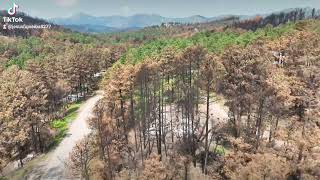 Ruidoso New Mexico July 24th 2024 [upl. by Isadore588]