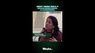 LeyAntiforestal Organizaciones indígenas piden al TC que declare norma como inconstitucional [upl. by Aehtela285]