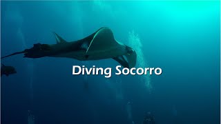 Diving Socorro Islands  Dec 2021 [upl. by Michigan]