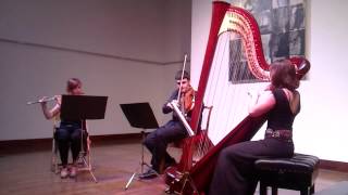 Ravel Sonatine arr for flute viola and harp [upl. by Disraeli818]