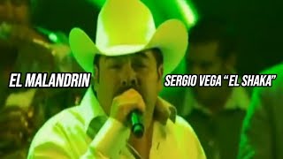 El Malandrín  Sergio Vega “El Shaka” Video Letra [upl. by Herzel]