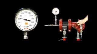 Victaulic Style 31 Coupling vs Flange  Pressure Test [upl. by Nnylatsirk642]