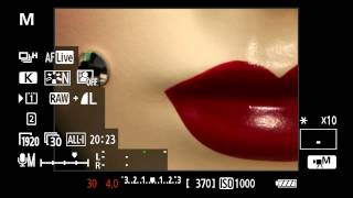 Canon EOS 5D Mark III  Tutorial Basic Video Operation 814 [upl. by Rhyner]