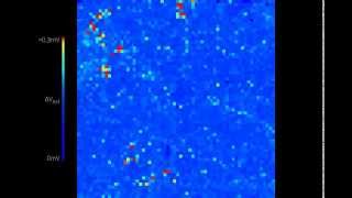 Recording of spontaneous activity from dystrophic mouse retina [upl. by Ecarret]