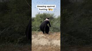 Amazing squirrel hunting 🐿️😱 entertainment birds birdhunting shorts viralshorts [upl. by Yttak246]