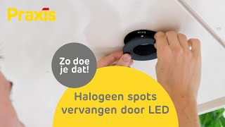 Halogeenlampje vervangen door LED  Stappenplan  Praxis [upl. by Nagiam]