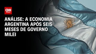 Análise a economia argentina após seis meses de governo Milei  WW [upl. by Jacqueline]