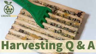 Mason Bee Harvesting  Live Q amp A with Dave Hunter [upl. by Garrick]