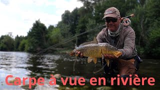 Carpe à la mouche à vue en rivière dans 40 cm deau [upl. by Hadley252]