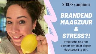 Wat Te Doen Bij Brandend Maagzuur Bij Stress en BURNOUT [upl. by Novat399]