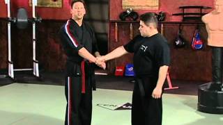 Scott Rogers Authentic Pressure Point  Volume 1 Fundamentals of Pressure Points Arms and Set Ups [upl. by Pierro]