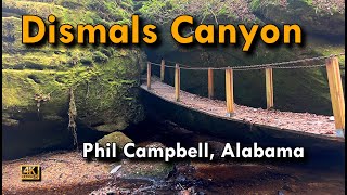 Dismals Canyon in Phil Campbell Alabama – Hidden Natural Wonderland [upl. by Hopkins]