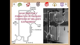 Spontaneously formation of organic compound education evolution earth biochemistry organic [upl. by Eduam]