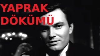 Yaprak Dökümü  Eski Türk Filmi Tek Parça [upl. by Revorg]