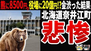 【愕然】熊駆除でケチった北海道奈井江町20億円のムダ金で町役場を建設した末路 [upl. by Vaules]