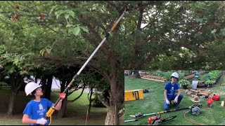 15Feet Reach Cordless Compact Pole Saw Dewalt DCPS620B 8Inch 20V Lithium  Unboxing Demo amp Review [upl. by Akerdal731]