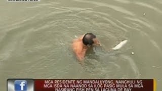 Mga residente ng Mandaluyong nanghuli ng mga isda na naanod sa ilog Pasig [upl. by Bernardi451]