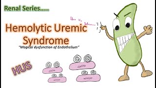 Hemolytic Uremic Syndrome  HUS  children TTP  causes  clinical f management etc Renal ch4 [upl. by Bozovich]