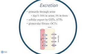 Oxaliplatin Toxicology Presentation  Samantha Kinley [upl. by Nemad]