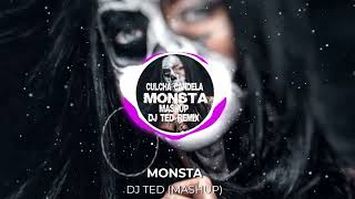 Culcha Candela Monsta DJ Ted Mashup [upl. by Adnaluy]