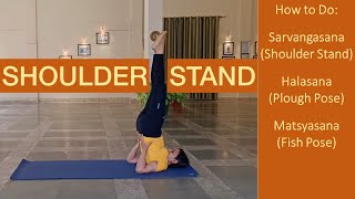 Shoulder Stand Tutorial  Step by Step for Beginners Sarvangasana Halasana Matsyasana [upl. by Eimrej]