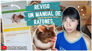 Guía de CUIDADOS para RATONES🐭 [upl. by Sakram438]