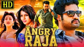 Angry Raja HD Romantic Hindi Dubbed Movie  Jr NTR Samantha Shruti Haasan [upl. by Natanhoj]