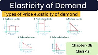 Types of price elasticity of demand Economic class 12 [upl. by Filbert834]