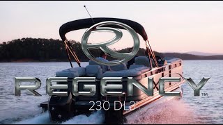 REGENCY 230 DL3 Pontoon Boat [upl. by Cordi]