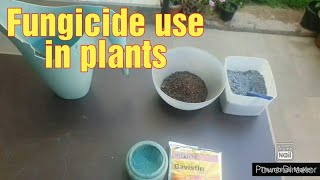 Fungicide use in plants How and when to use [upl. by Diogenes]