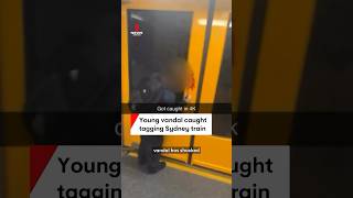 Young vandal caught spraying graffiti on Sydney train [upl. by Ardle]