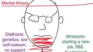 PTSD Diathesis Stress Model [upl. by Cone991]