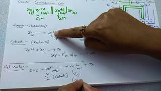 Concentration cells  Nernst equation  Electrochemistry  Class 12 Chemistry [upl. by Luckin]