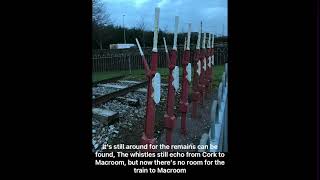 Cork amp Macroom Direct Railway 158th Anniversary Opening of the Line 12th May 18662024 [upl. by Nakre]