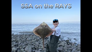 Bristol Channel Ray Day [upl. by Assennev]