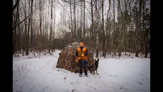 Grouse Hunting and Hot Tent Camping In The Snow with My Dog [upl. by Enecnarf78]