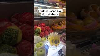 Fruits in Japan like muscat grape [upl. by Aron]