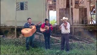 RECORDANDO TIEMPOS  MUSICA RANCHERA SIERRA DE ZONGOLICA VERACRUZ MEXICO [upl. by Theta]