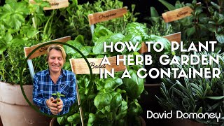 How to plant a herb garden container [upl. by Araiek]