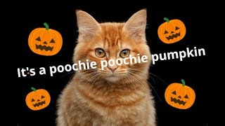 🎃Its a poochie woogie pumpkin Original music video🎃 [upl. by Bo212]